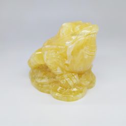 黃玉蟾蜍 5"【隨機出貨】