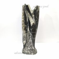 直角石化石柱